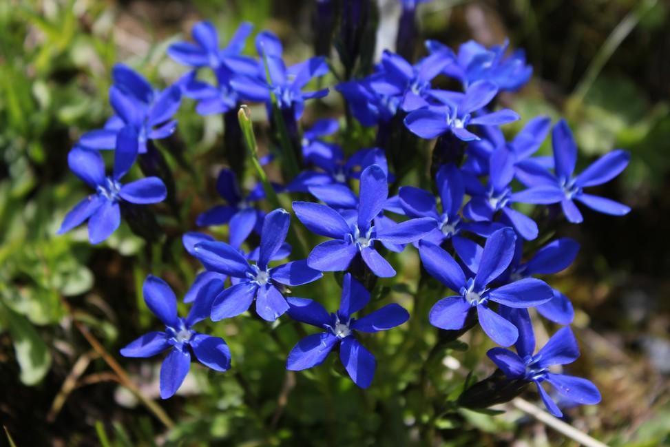 הוילה Le Sépey Chalet Diana חדר תמונה